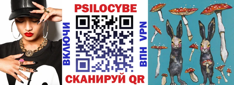 MEGA tor  Старая Купавна  Псилоцибиновые грибы MAGIC MUSHROOMS 