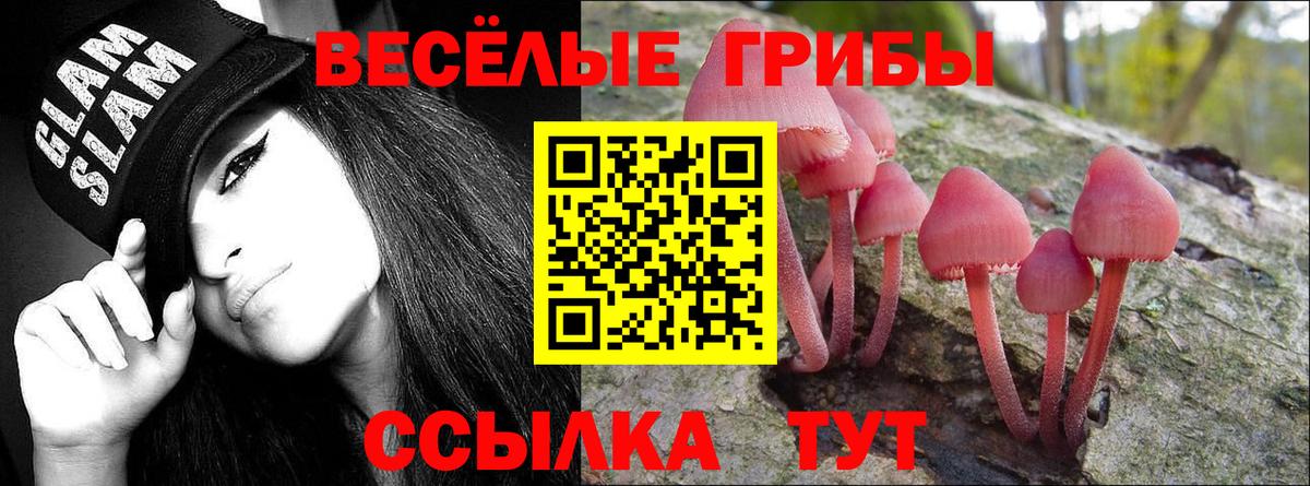 Старая Купавна  Галлюциногенные грибы мицелий  купить закладку  Вход с VPN 
