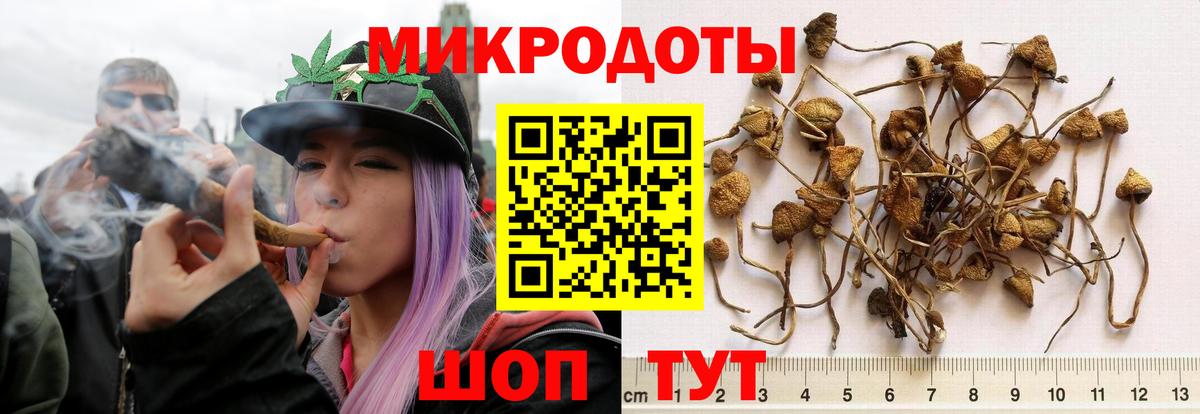 Псилоцибиновые грибы ЛСД Старая Купавна