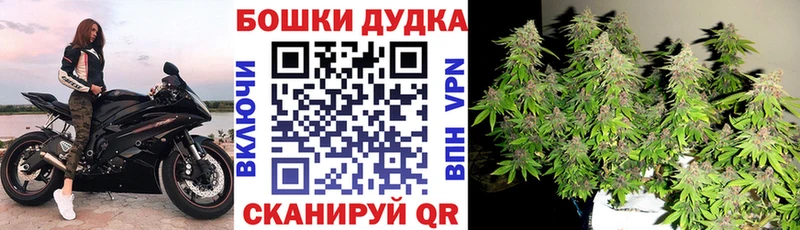 Конопля план  OMG ССЫЛКА  Старая Купавна  купить наркоту 